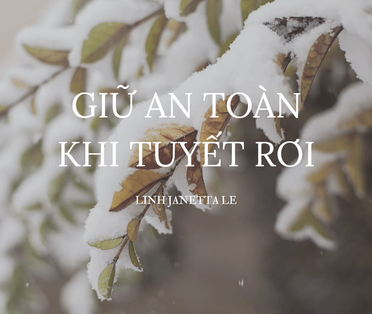 ♡ Giữ An Toàn Khi Tuyết Rơi ♡