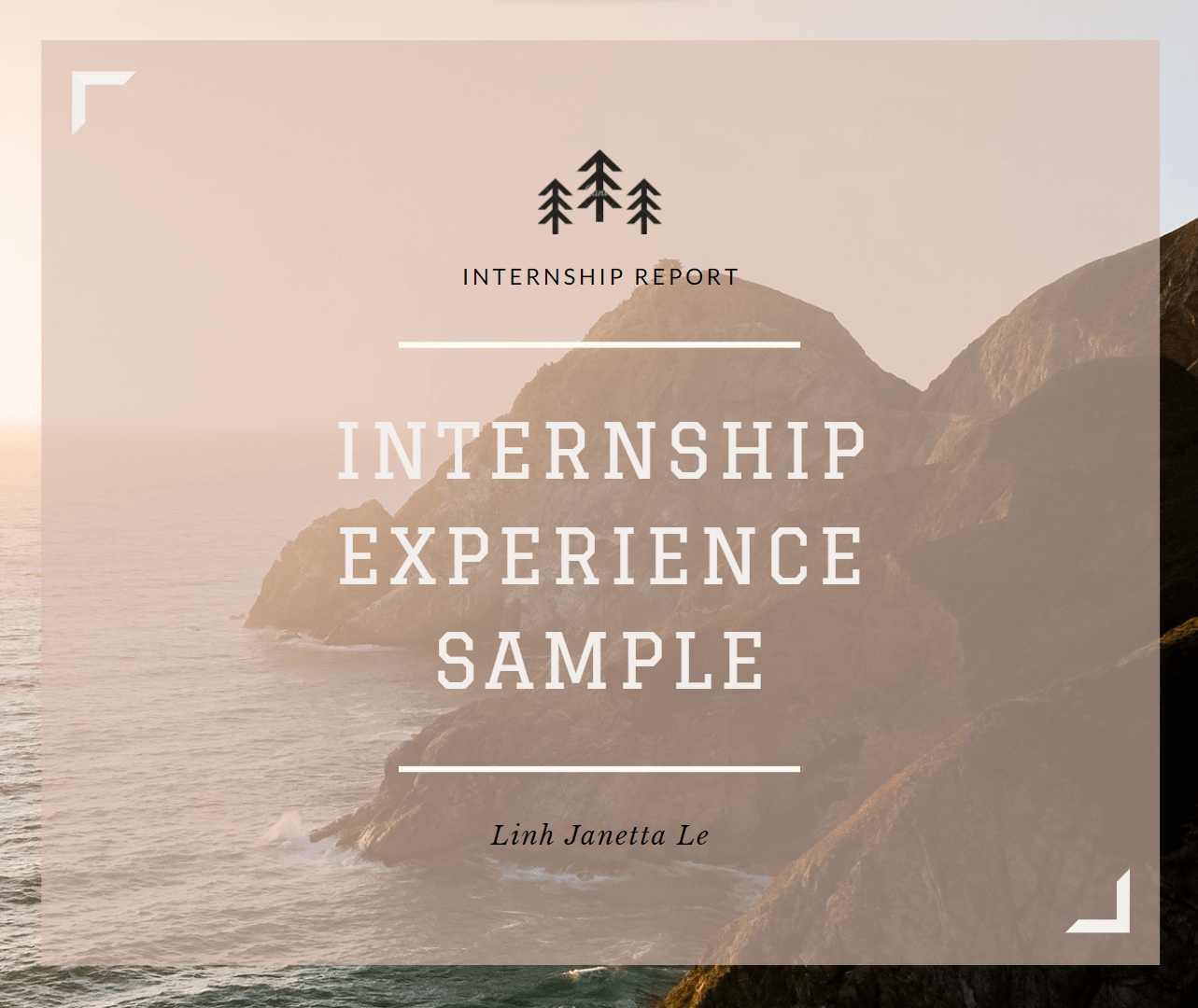♡ Internship Experience Report Sample ♡