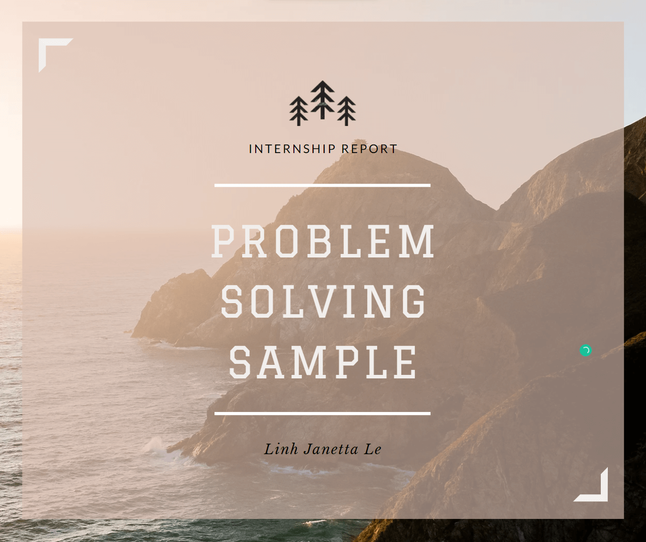 ♡ Internship Report Sample – “Problem Solving” ♡