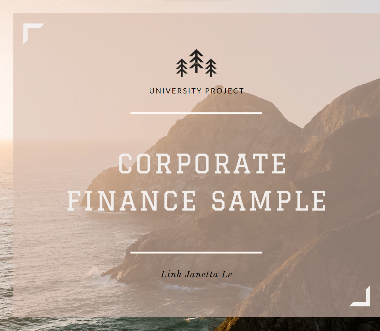 ♡ Corporate Finance Project Sample ♡