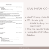 Mẫu CV 1 trang bằng tiếng Anh chuẩn Harvard