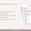 Mẫu CV 1 trang bằng tiếng Anh chuẩn Harvard