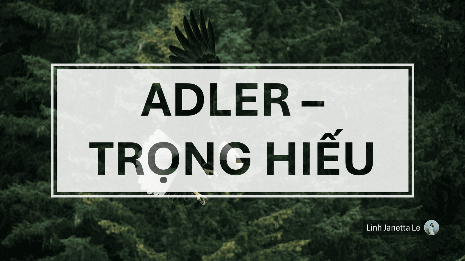 ♡ [Lyrics] Adler – Trọng Hiếu ♡