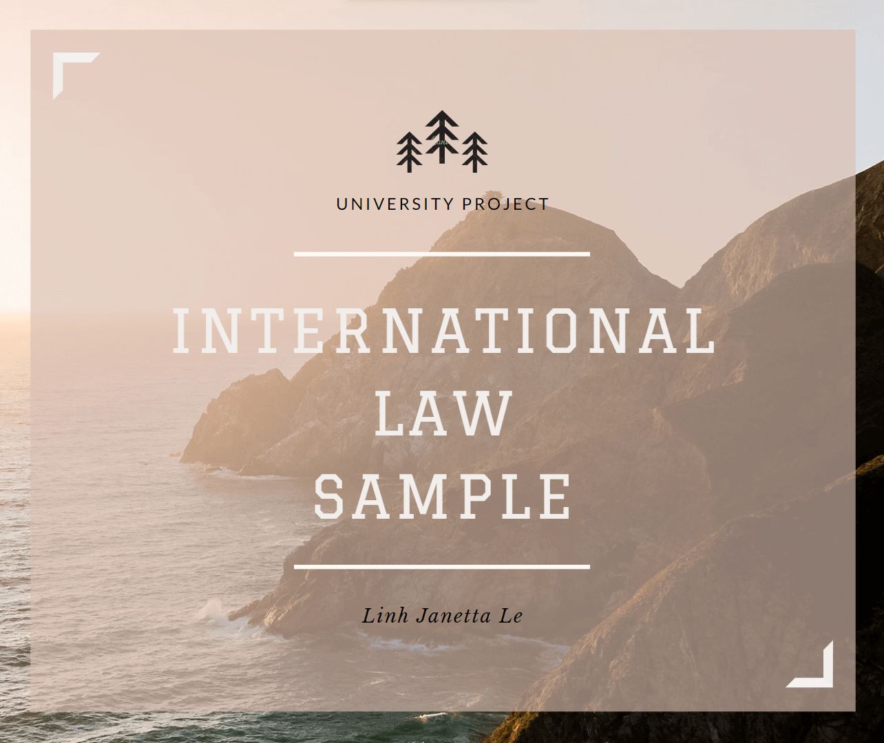 ♡ International Law Project Sample ♡